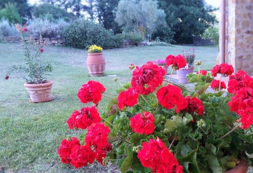 בית מלון כפרי Agriturismo Bonzalone