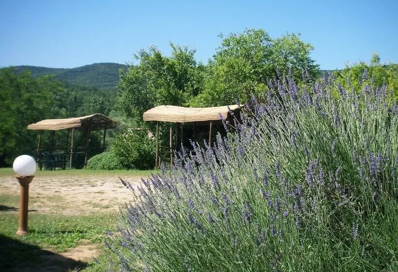 Maaseutuhotelli Agriturismo Bonzalone