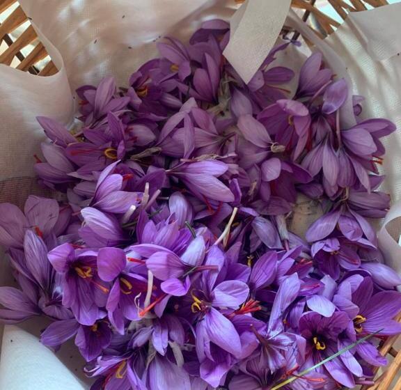 בית מלון כפרי Agriturismo Il Puntoncino