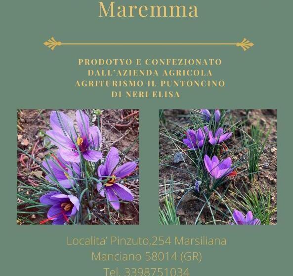 בית מלון כפרי Agriturismo Il Puntoncino