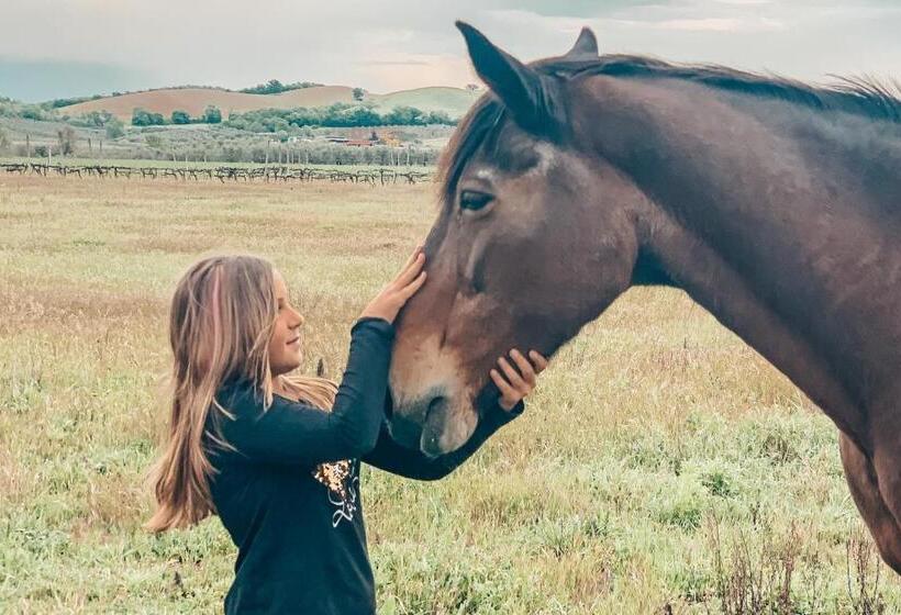 בית מלון כפרי Agriturismo Il Puntoncino