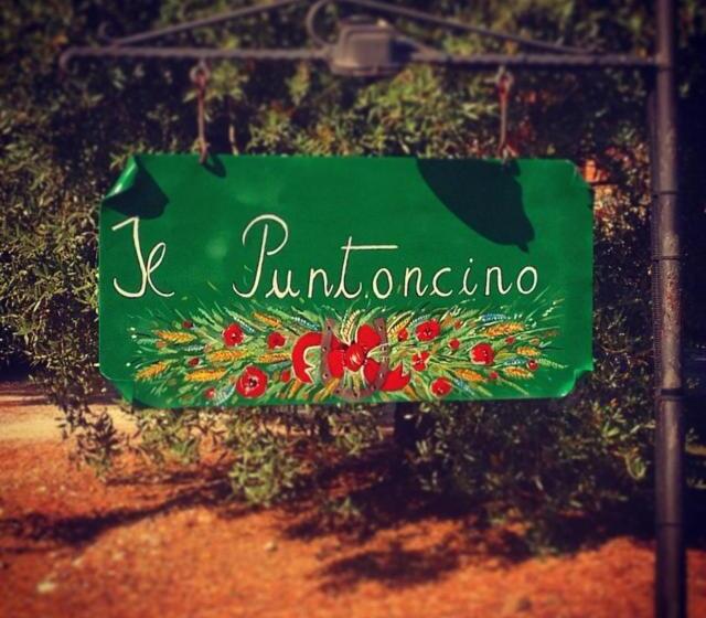 בית מלון כפרי Agriturismo Il Puntoncino