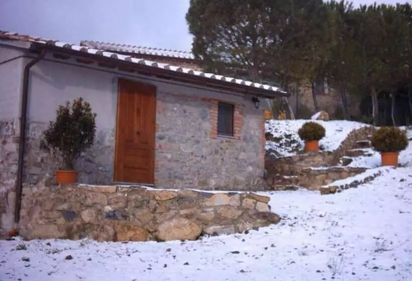 田舎風ホテル Agriturismo Ripoli