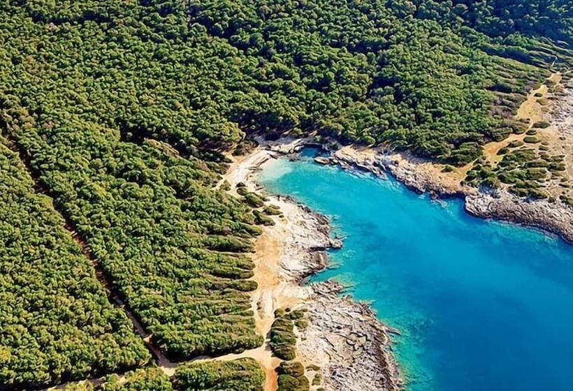 צימר Cream & Caramel Bed