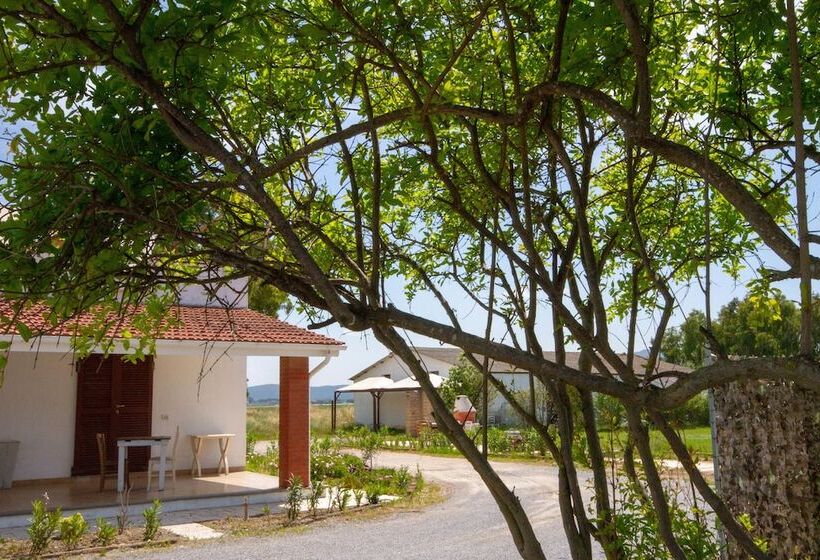 בית מלון כפרי Dory