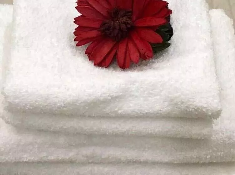 پانسیون Silver House