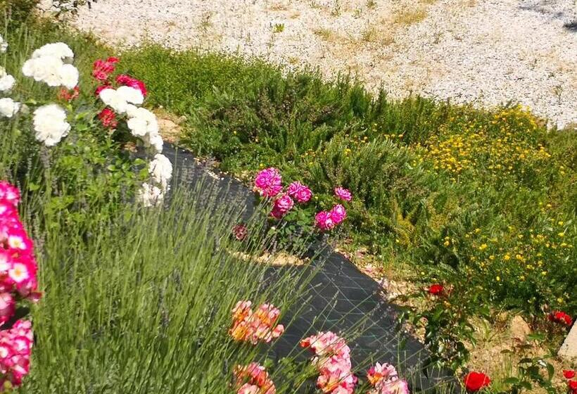 בית מלון כפרי Agriturismo I Colli