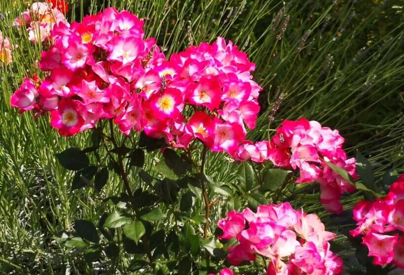 בית מלון כפרי Agriturismo I Colli