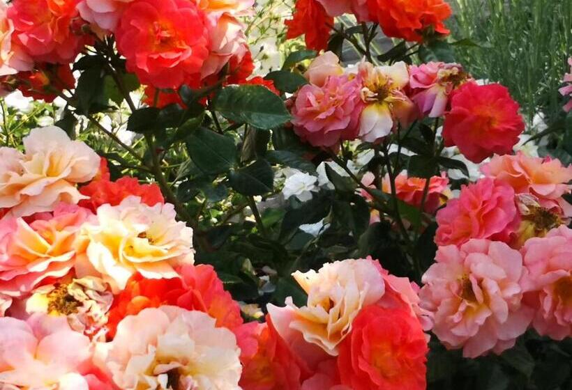 בית מלון כפרי Agriturismo I Colli