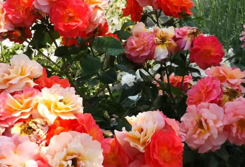 Maaseutuhotelli Agriturismo I Colli