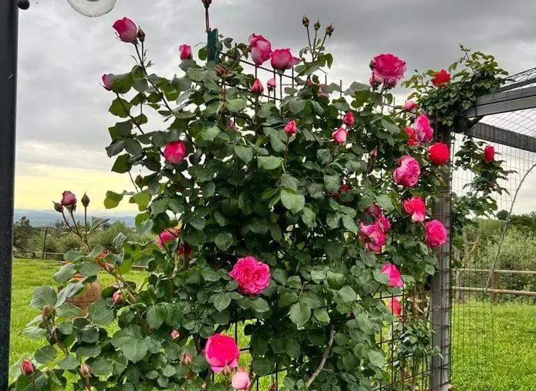 Maaseutuhotelli Agriturismo I Colli