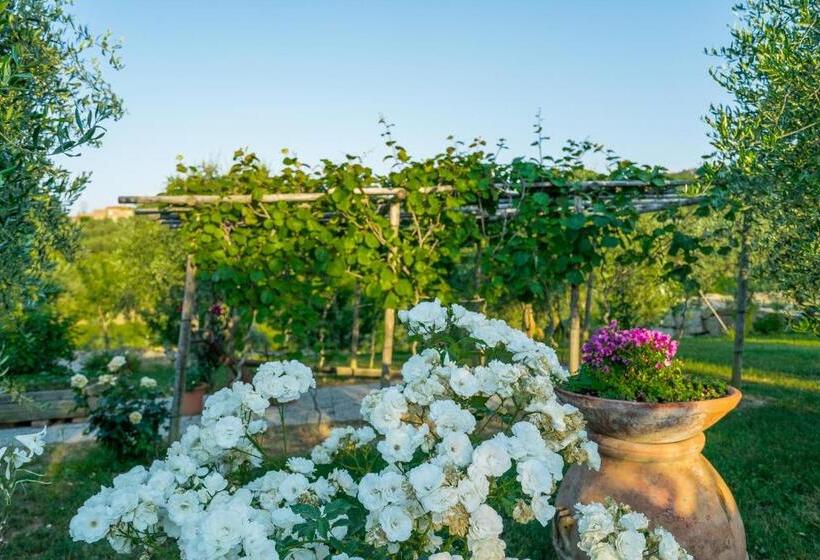 בית מלון כפרי Agriturismo I Colli