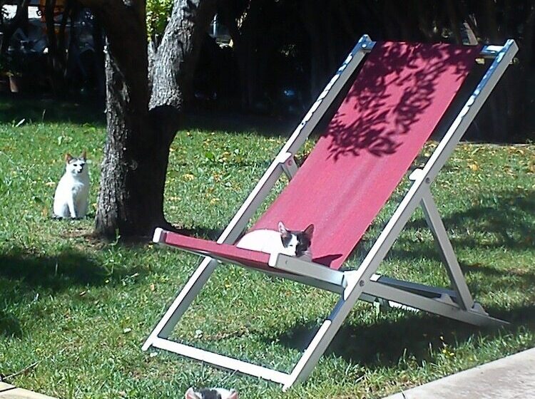 Residence Missipezza