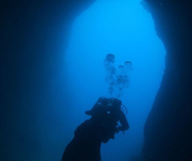 تختخواب و صبحانه Palinuroholiday