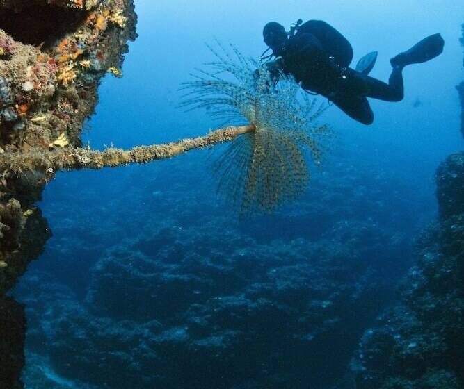 تختخواب و صبحانه Palinuroholiday