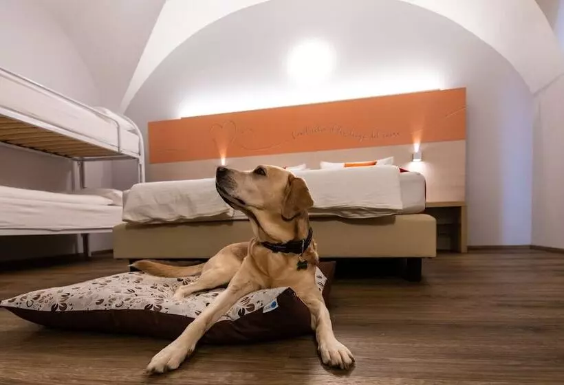 Hotelli Albergo Casavecchia