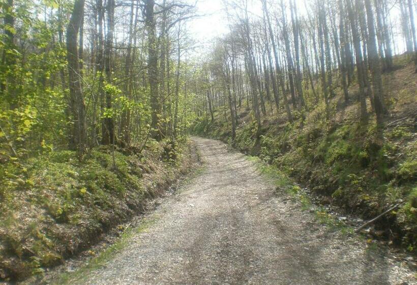 Отель Amelia Dream View