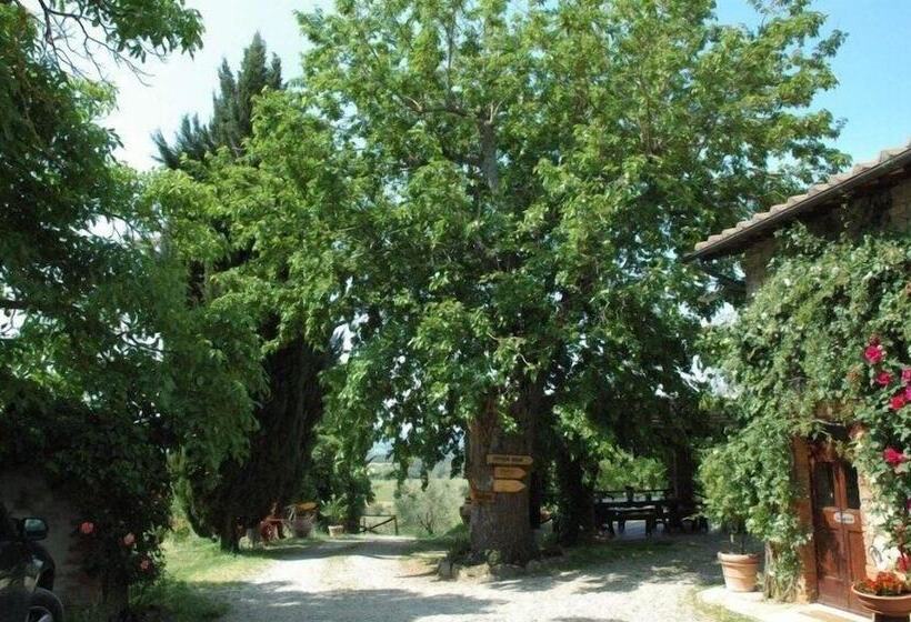 교외 호텔 Agriturismo Relais Poggio Primo