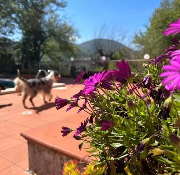 Magione B&b