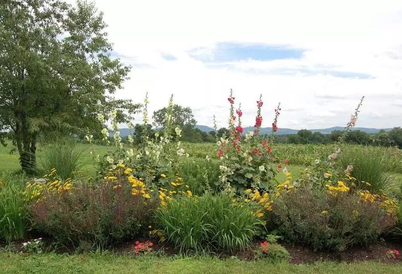 Maple Shade Bed & Breakfast