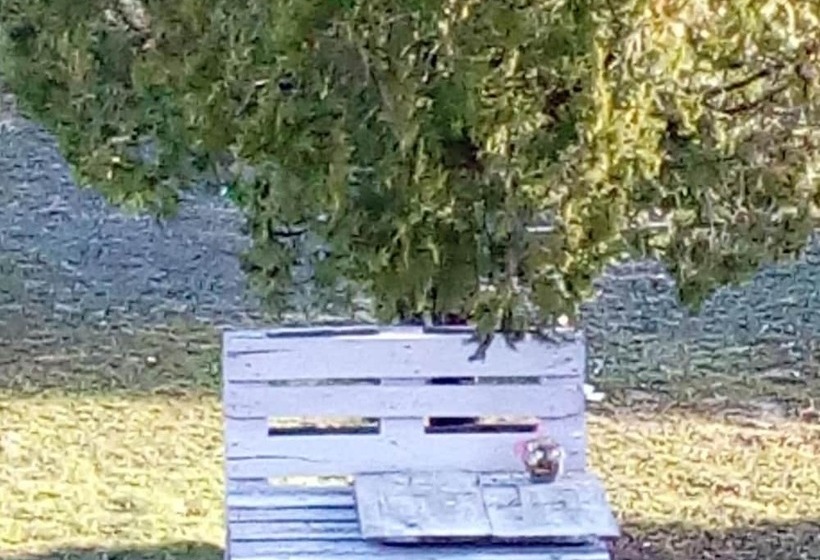 مبيت وإفطار Amor Di Lavanda