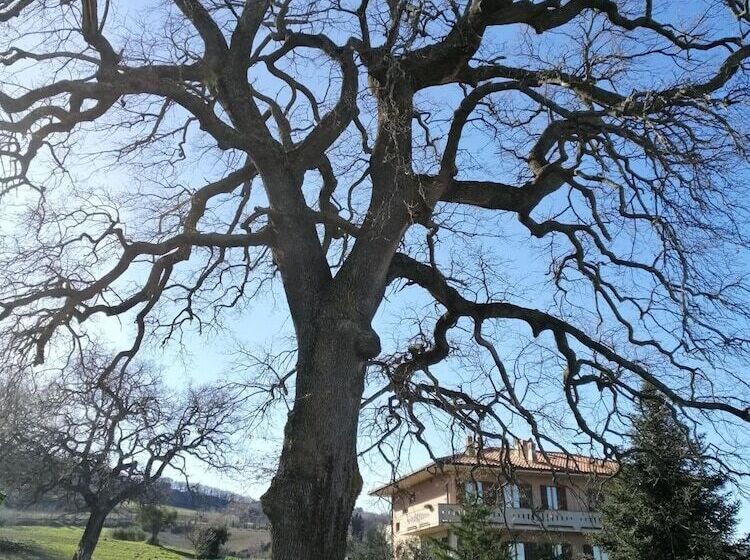 مبيت وإفطار Amor Di Lavanda