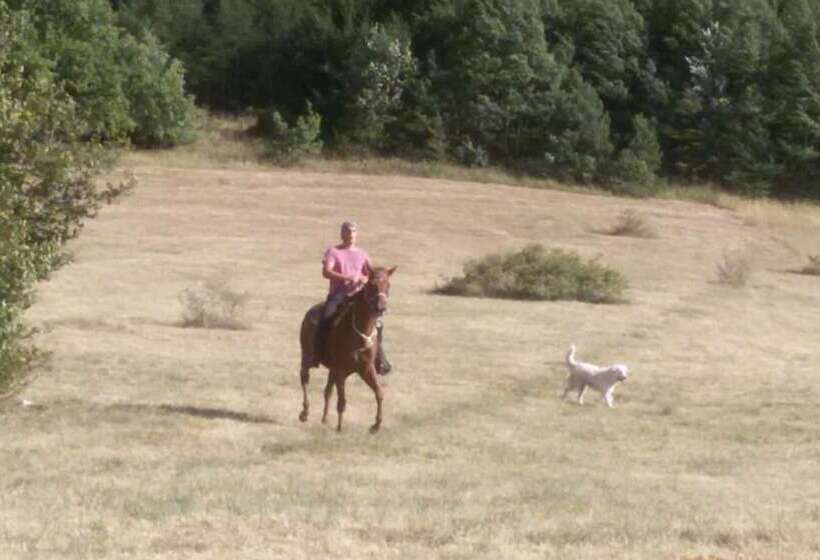 مبيت وإفطار Amor Di Lavanda
