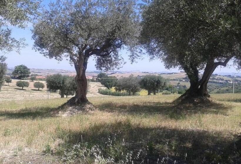 مبيت وإفطار Amor Di Lavanda