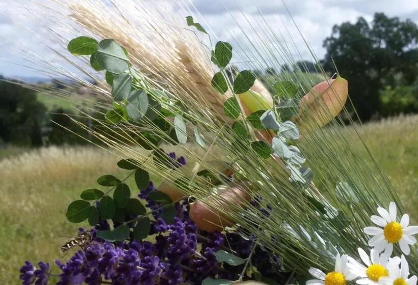 مبيت وإفطار Amor Di Lavanda