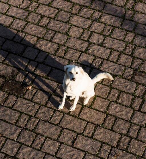 مبيت وإفطار Amor Di Lavanda