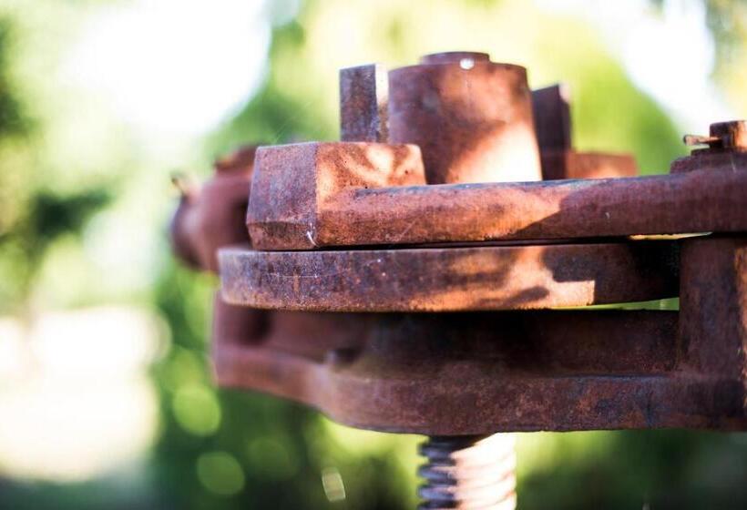 مبيت وإفطار Amor Di Lavanda