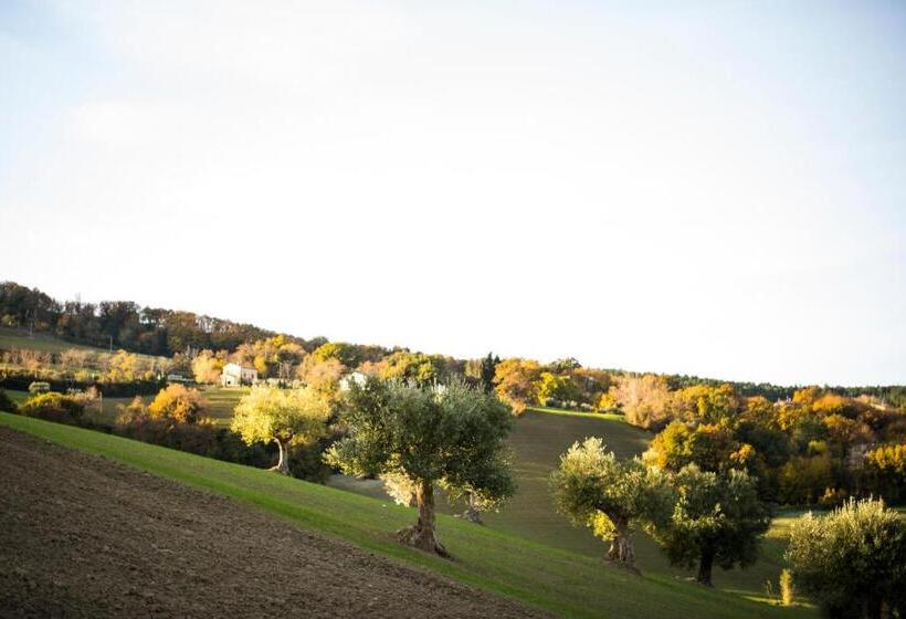 مبيت وإفطار Amor Di Lavanda