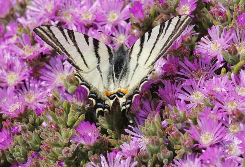 فندق ريفى Agriturismo Cupido