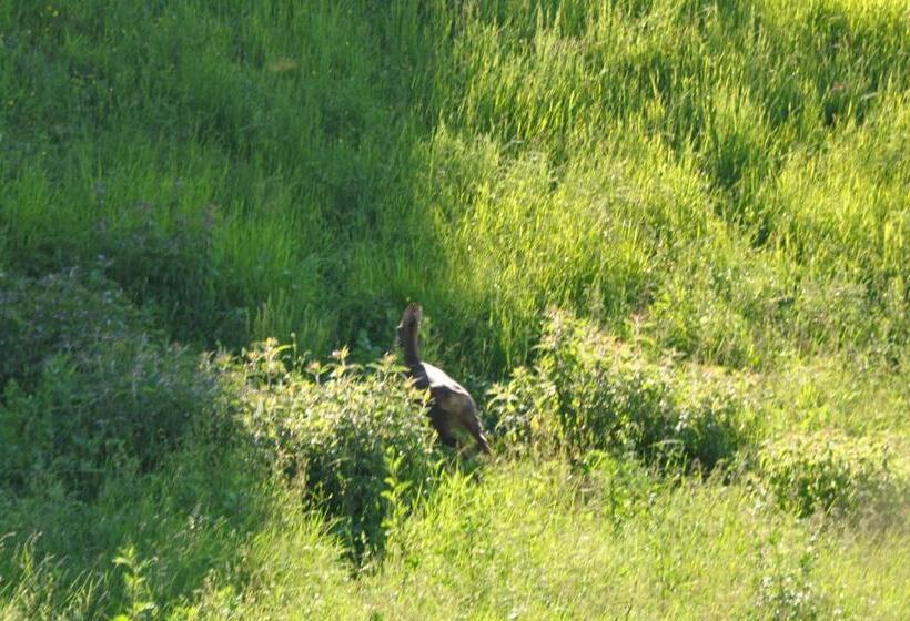 בית מלון כפרי Agriturismo Le Dolci Colline