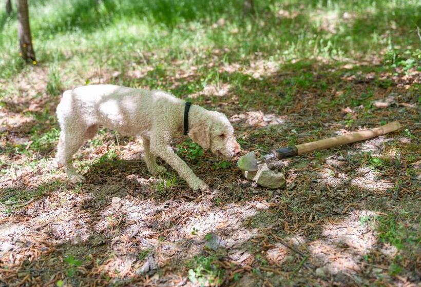 בית מלון כפרי Agriturismo Le Dolci Colline