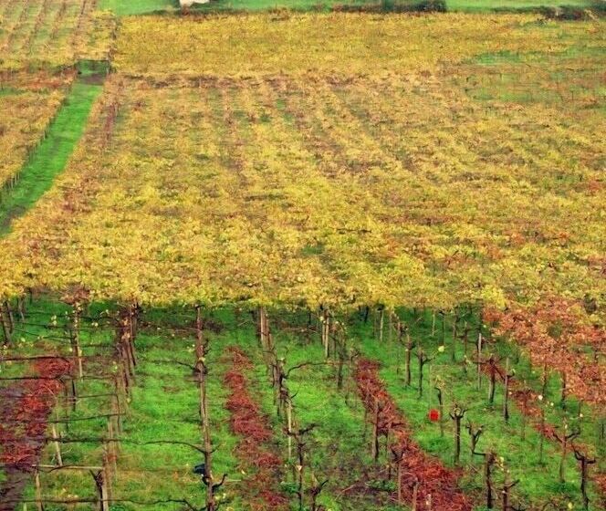 Пансион Casale Del Gelso