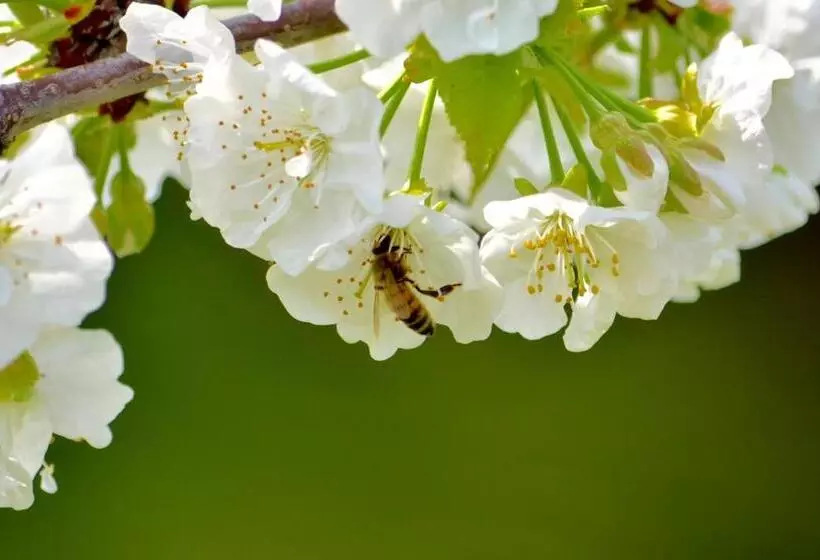 ペンション Casale Del Gelso