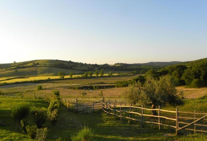 צימר Macchiabuia