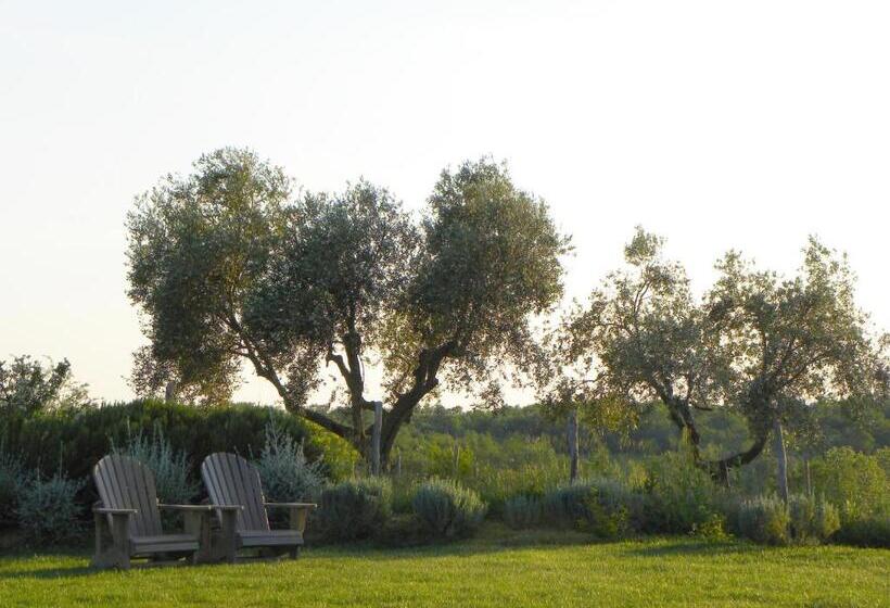 צימר Macchiabuia