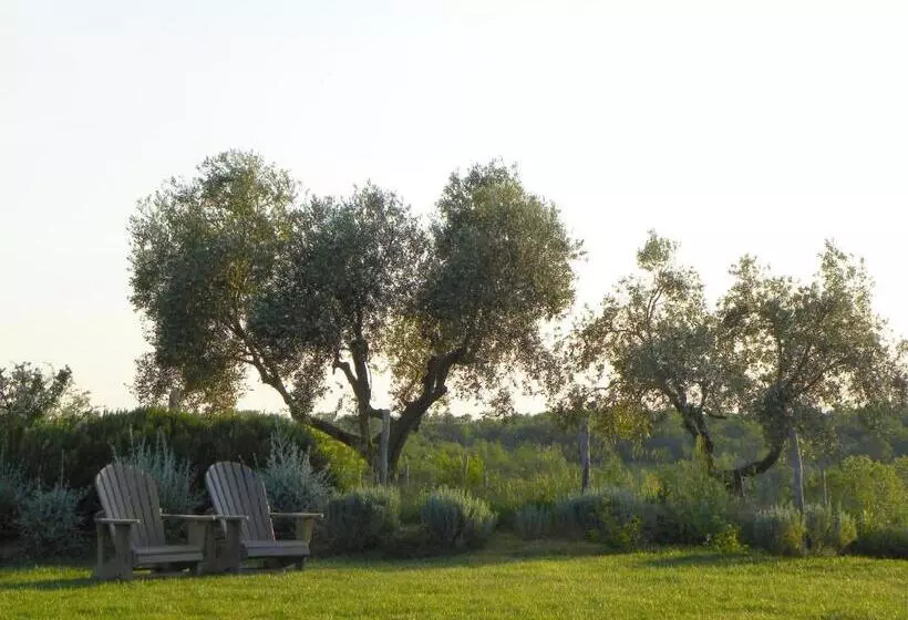 Aamiaismajoitus (B&B) Macchiabuia