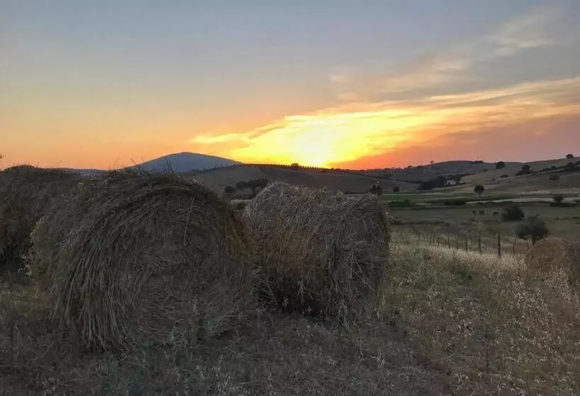 Aamiaismajoitus (B&B) Macchiabuia