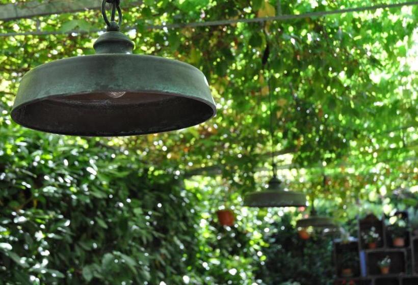 פונדק Casa Rosanna