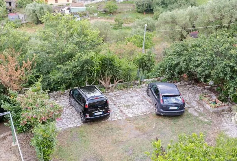 Majatalo B&b Il Vicoletto Del Casale