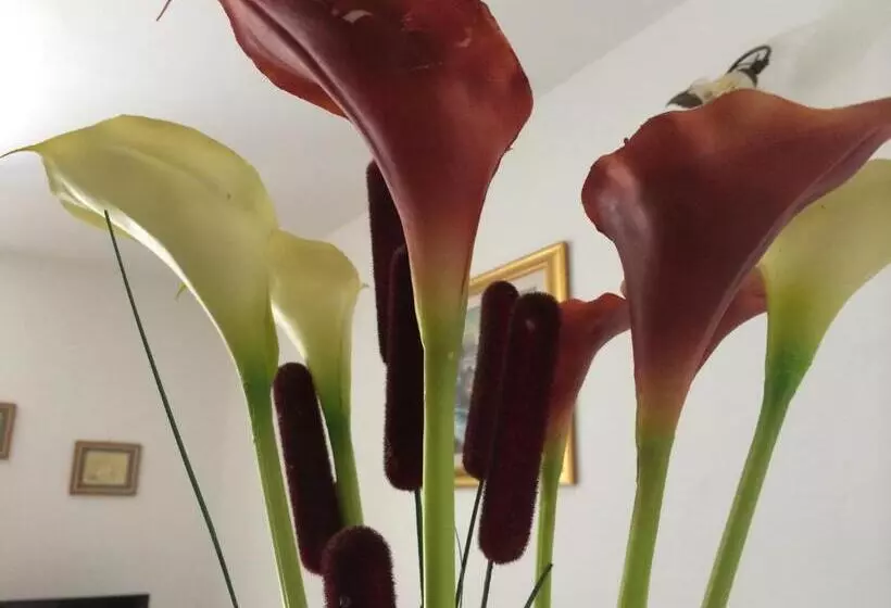 Majatalo B&b Il Vicoletto Del Casale