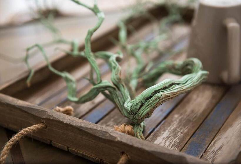 Bed and Breakfast Masseria San Francesco