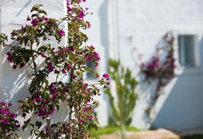 Bed and Breakfast Masseria San Francesco