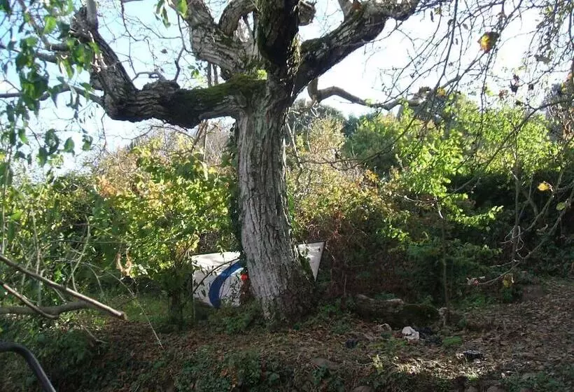 ベッドアンドブレックファースト Su Cantaru Guesthouse