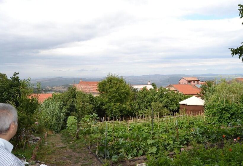 ベッドアンドブレックファースト Su Cantaru Guesthouse