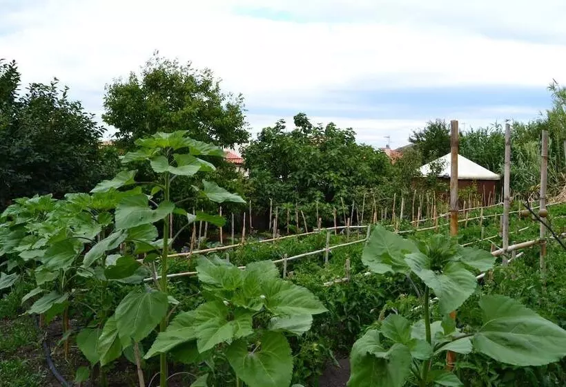 ベッドアンドブレックファースト Su Cantaru Guesthouse