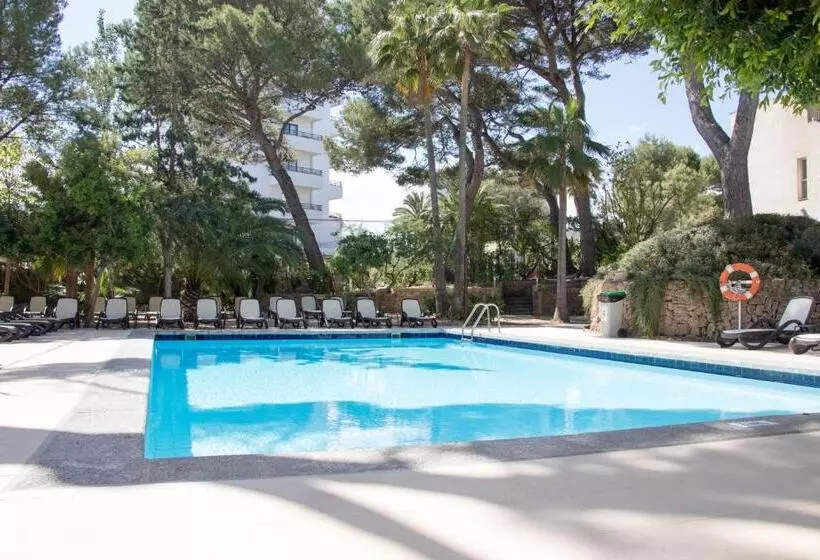 Otel Houm Nets  Adults Only